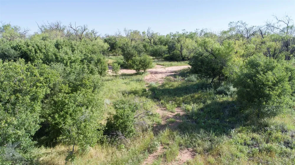 9533 FM 617 Rochester, TX 79544