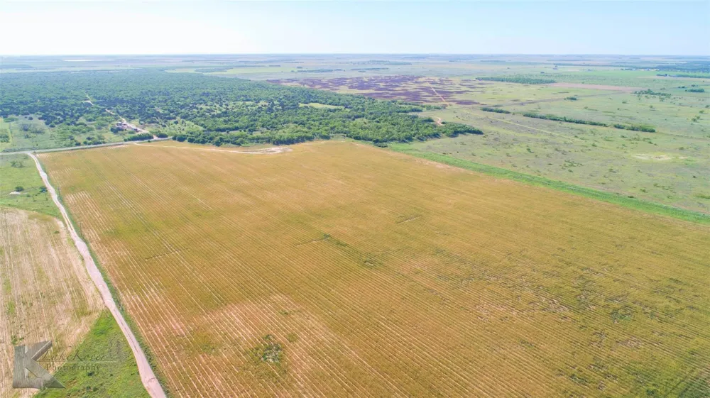 9533 FM 617 Rochester, TX 79544