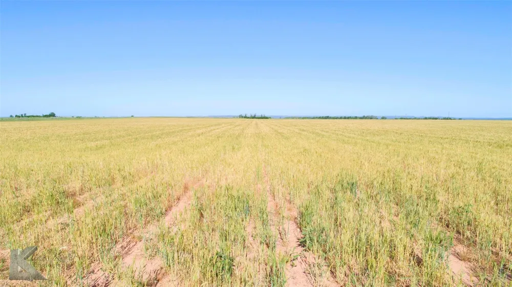 9533 FM 617 Rochester, TX 79544