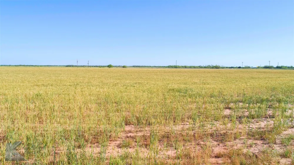 9533 FM 617 Rochester, TX 79544