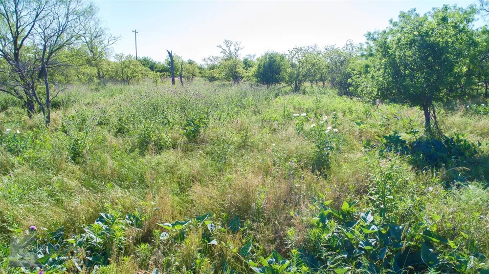 9533 FM 617 Rochester, TX 79544