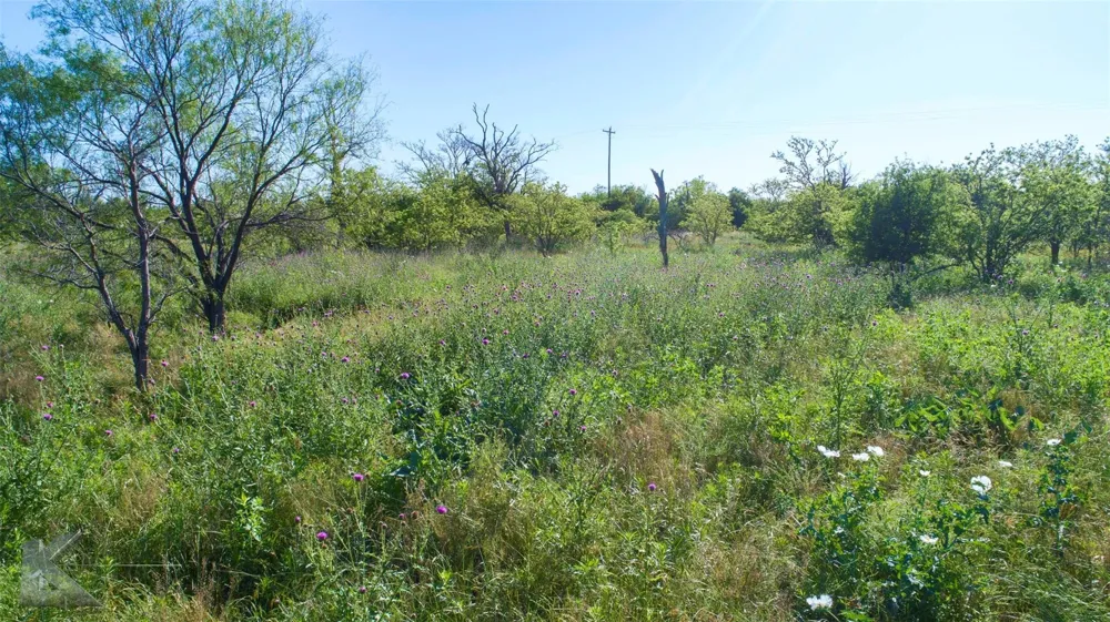 9533 FM 617 Rochester, TX 79544