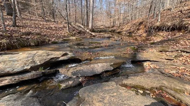 00 Jim McKinney Road Pinnacle, NC 27043