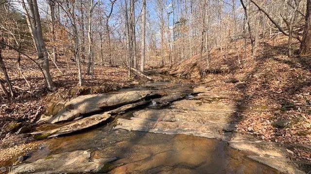 00 Jim McKinney Road Pinnacle, NC 27043