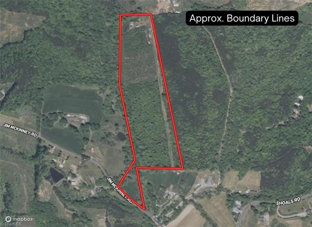 00 Jim McKinney Road Pinnacle, NC 27043