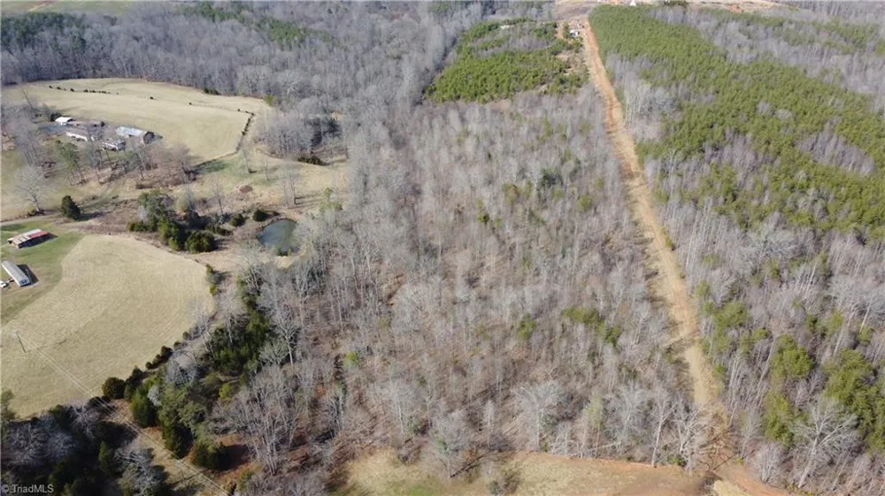 00 Jim McKinney Road Pinnacle, NC 27043