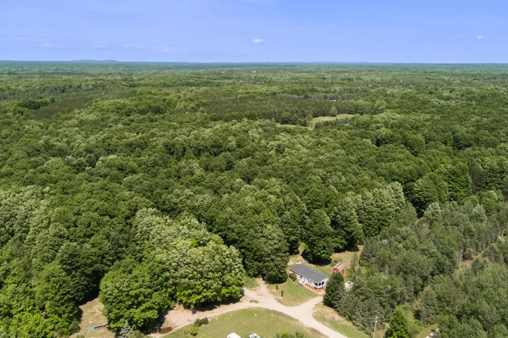 223 Pinecrest Lane Homestead Township, MI 49617
