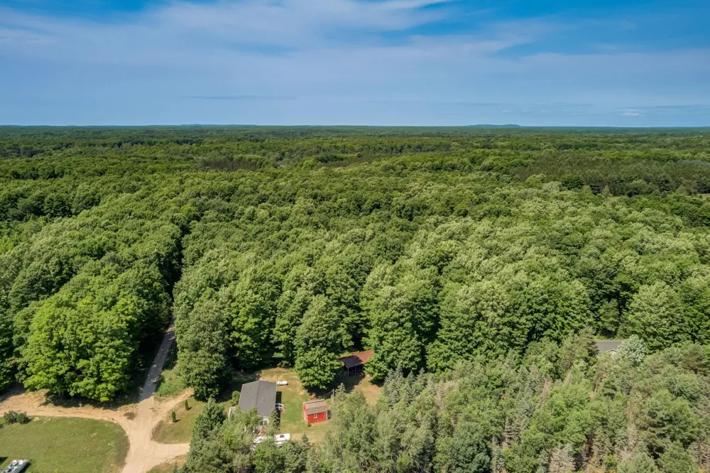 223 Pinecrest Lane Homestead Township, MI 49617