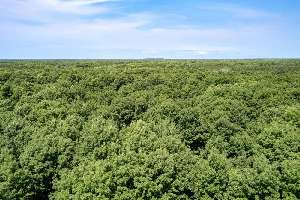 223 Pinecrest Lane Homestead Township, MI 49617