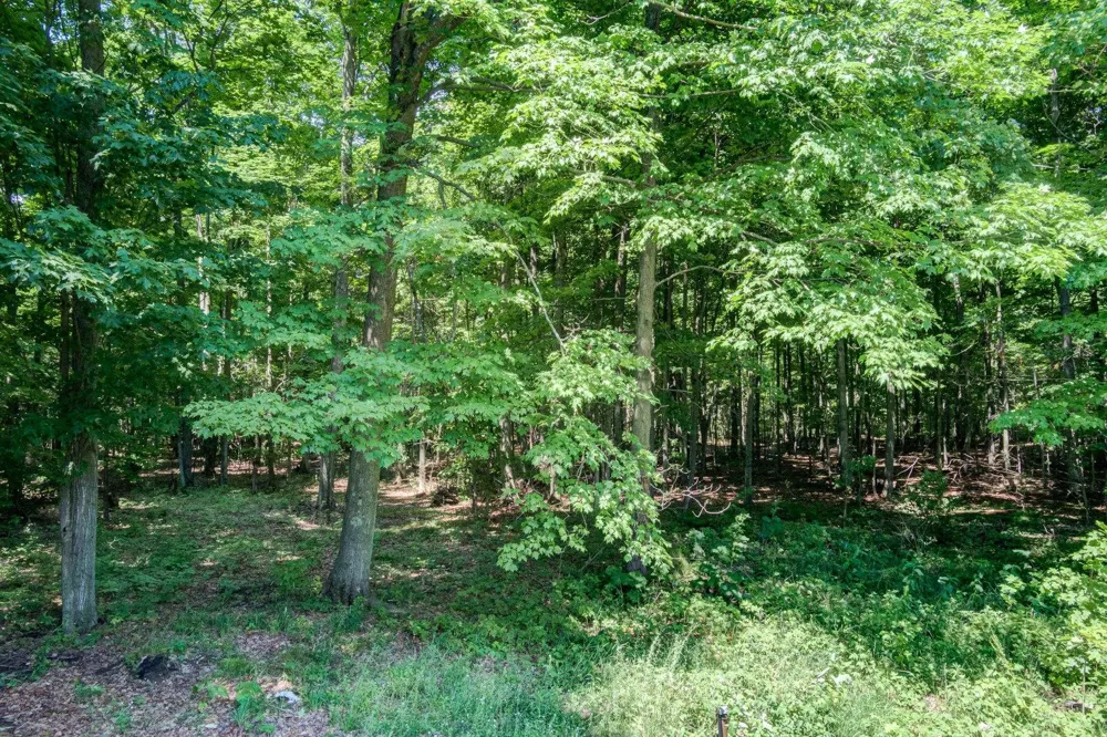 223 Pinecrest Lane Homestead Township, MI 49617
