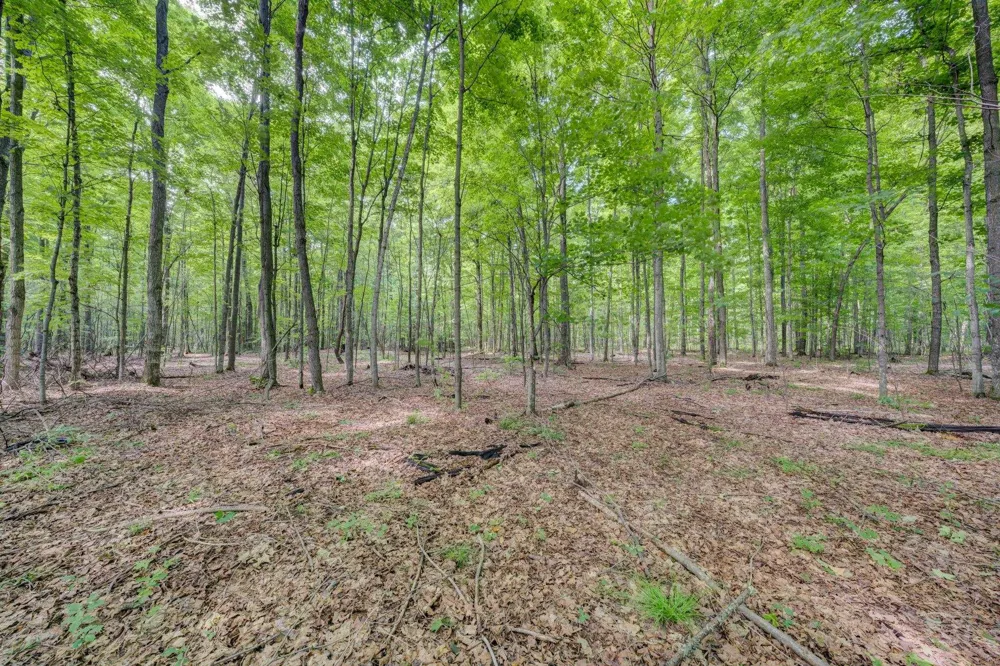 223 Pinecrest Lane Homestead Township, MI 49617