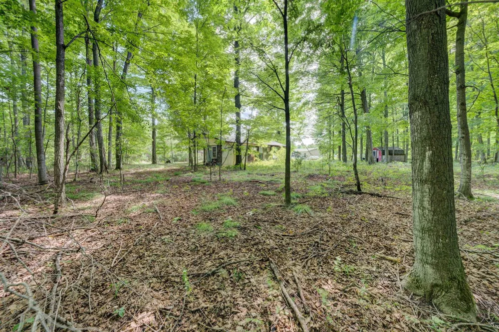 223 Pinecrest Lane Homestead Township, MI 49617