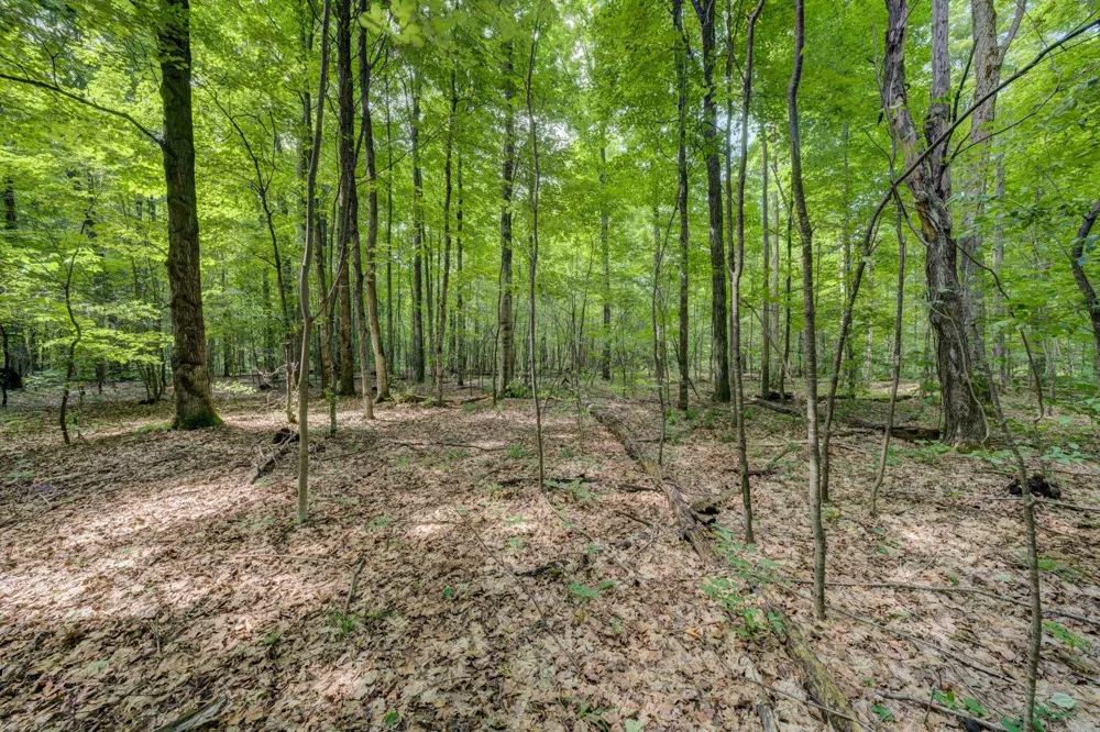 223 Pinecrest Lane Homestead Township, MI 49617