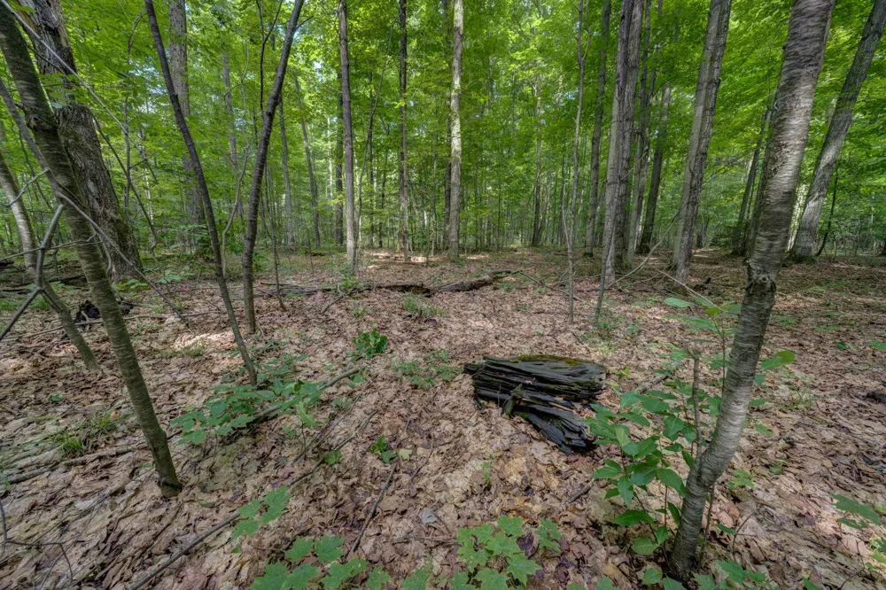 223 Pinecrest Lane Homestead Township, MI 49617