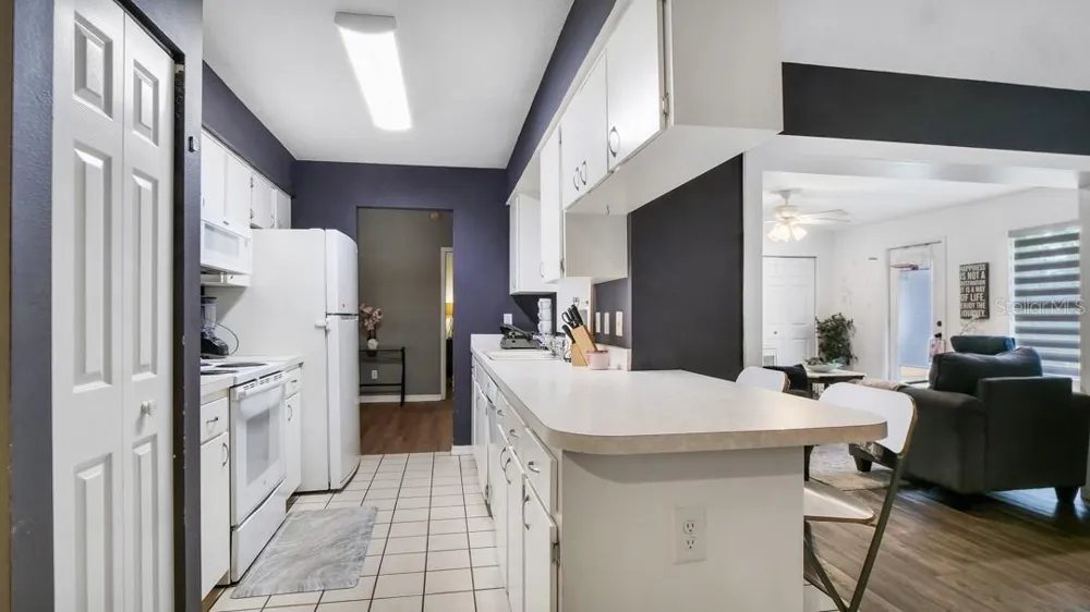 1048 MALLETWOOD DRIVE Brandon, FL 33510