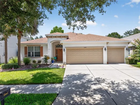 15601 STARLING WATER DRIVE