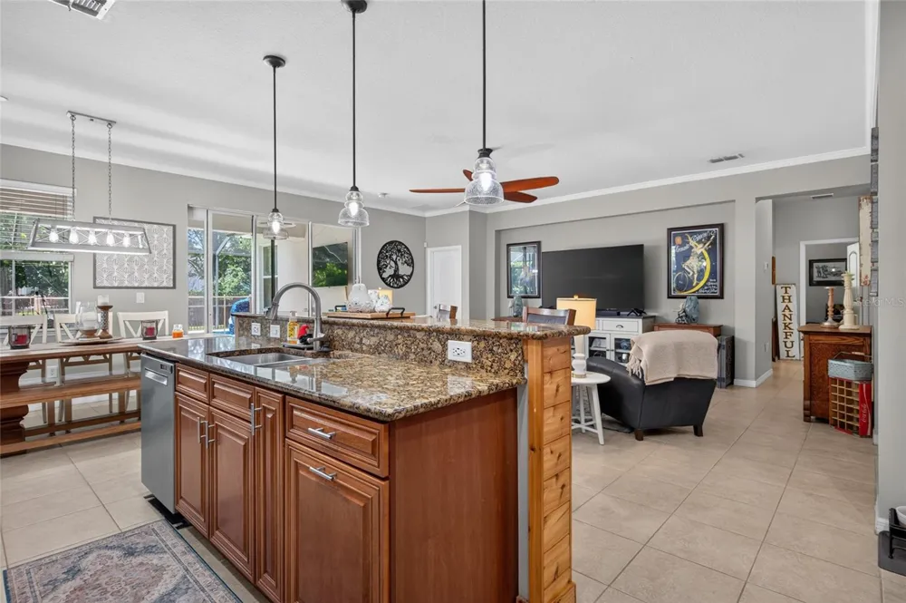 15601 STARLING WATER DRIVE Lithia, FL 33547