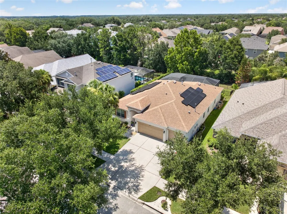 15601 STARLING WATER DRIVE Lithia, FL 33547