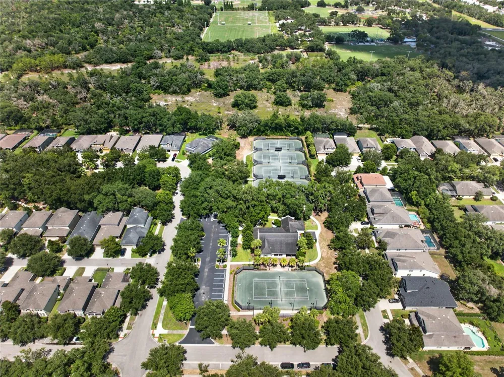 15601 STARLING WATER DRIVE Lithia, FL 33547