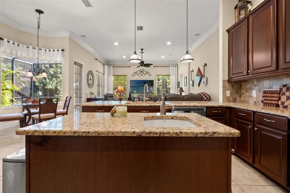 15103 AZRA DRIVE Odessa, FL 33556