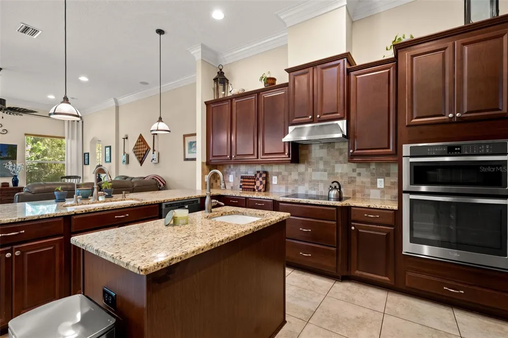 15103 AZRA DRIVE Odessa, FL 33556
