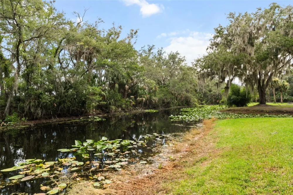 7938 JACKSONS RIVER ROAD Leesburg, FL 34788