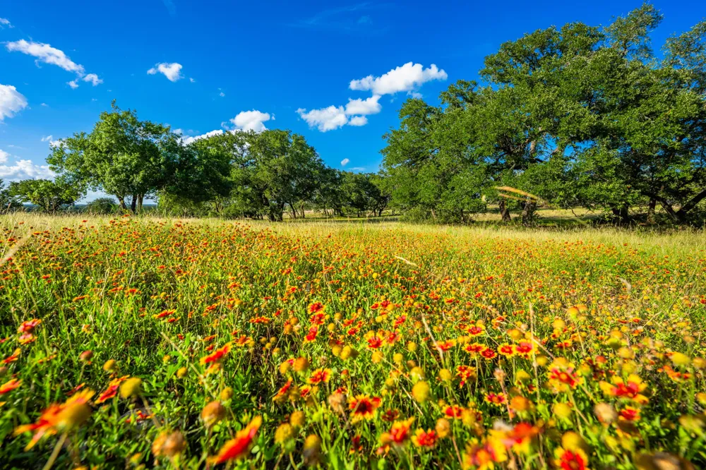 1509 County Road 326 Bertram, TX 78605