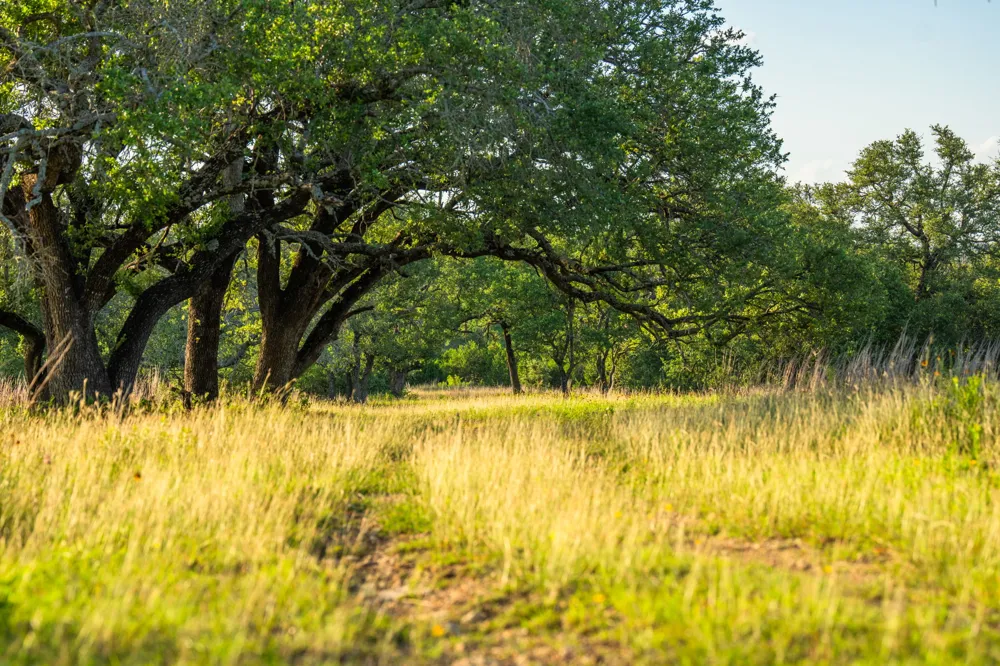 1509 County Road 326 Bertram, TX 78605