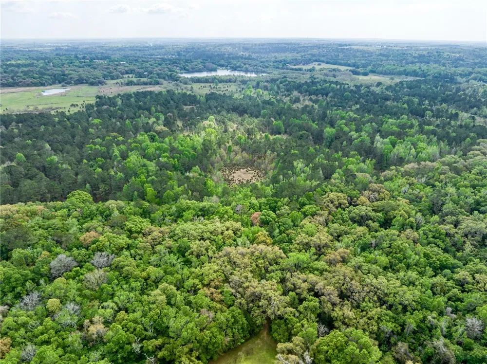 22374 CORTEZ BOULEVARD Brooksville, FL 34601