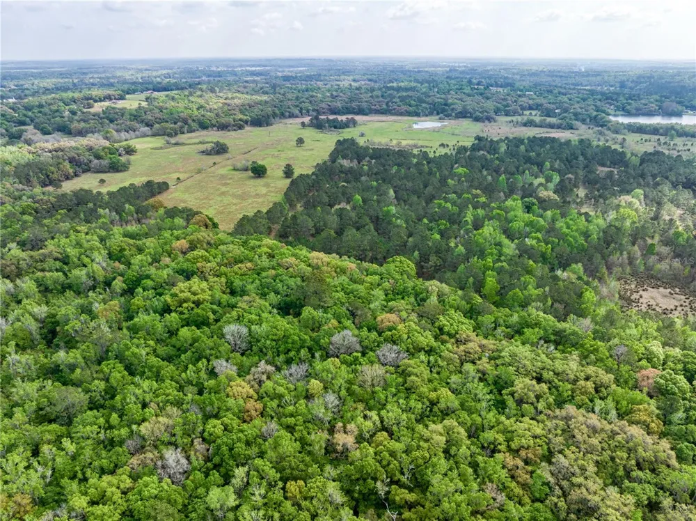 22374 CORTEZ BOULEVARD Brooksville, FL 34601