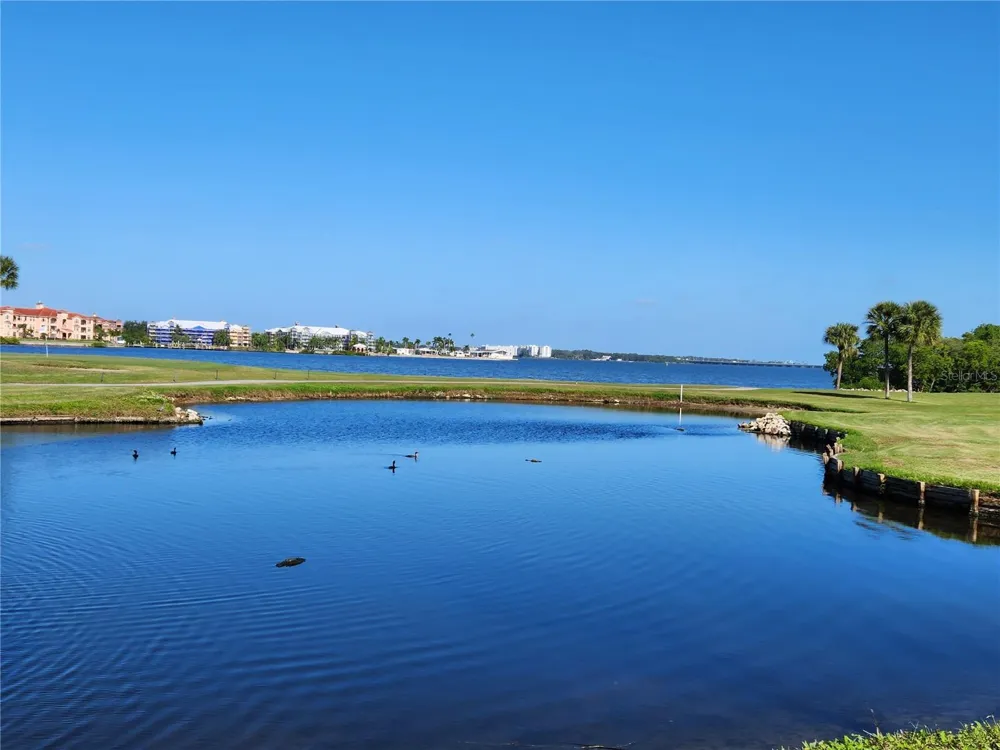 3300 COVE CAY DRIVE #7D Clearwater, FL 33760