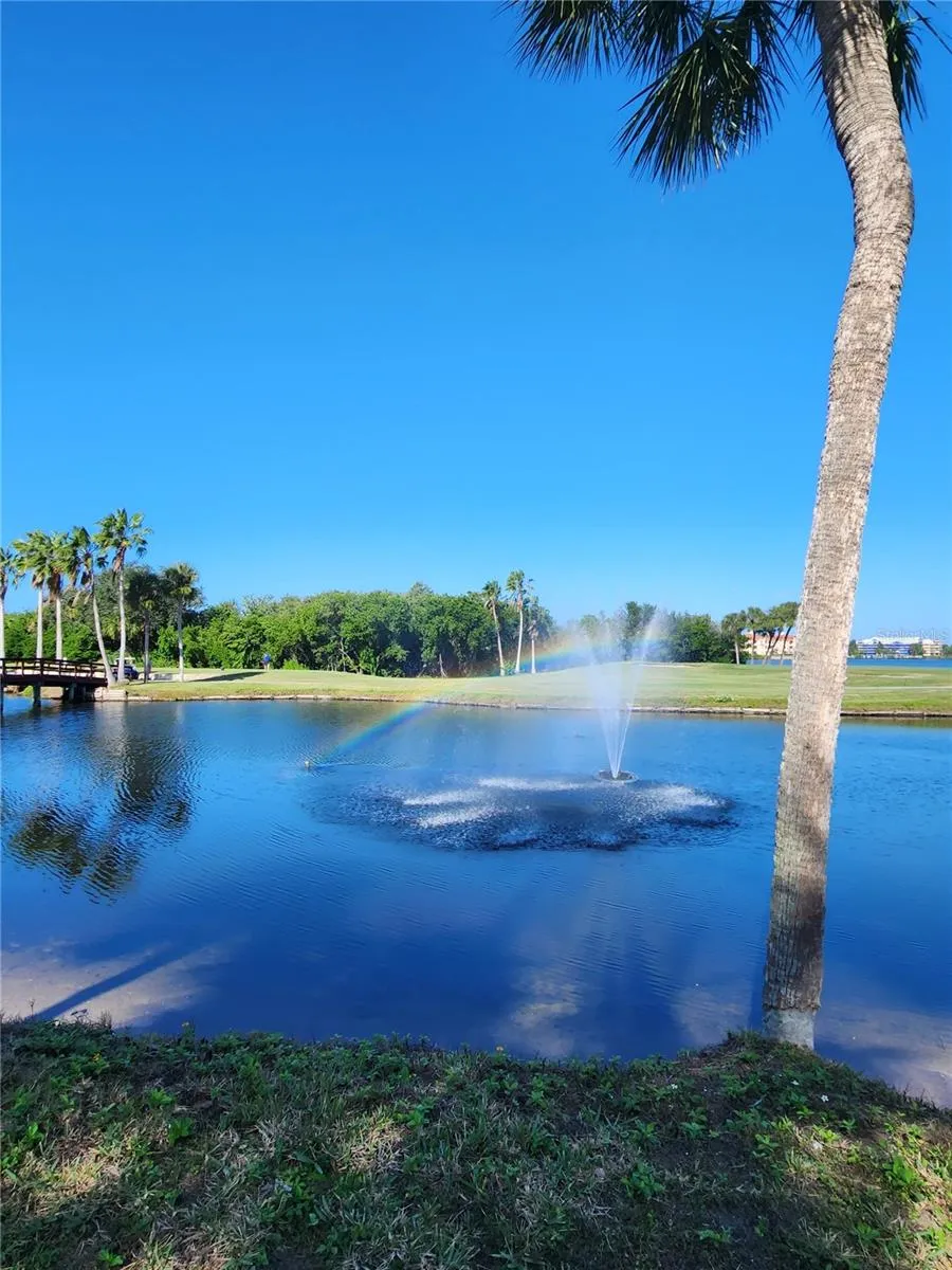 3300 COVE CAY DRIVE #7D Clearwater, FL 33760