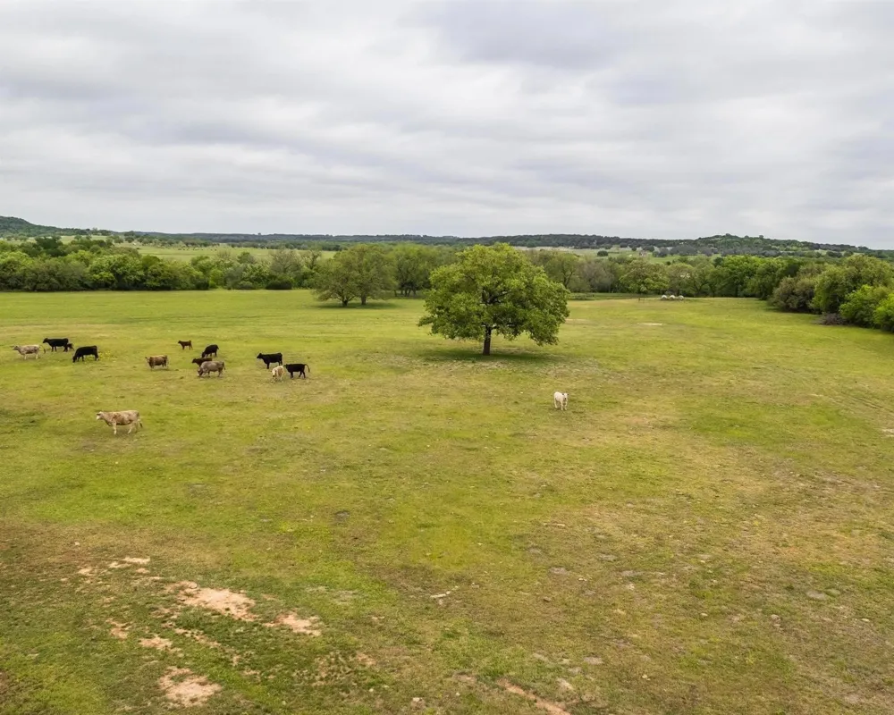County Road 160 Bluff Dale, TX 76433