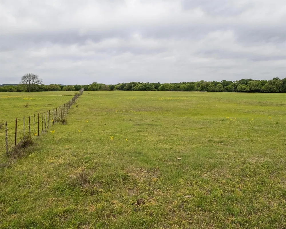 County Road 160 Bluff Dale, TX 76433