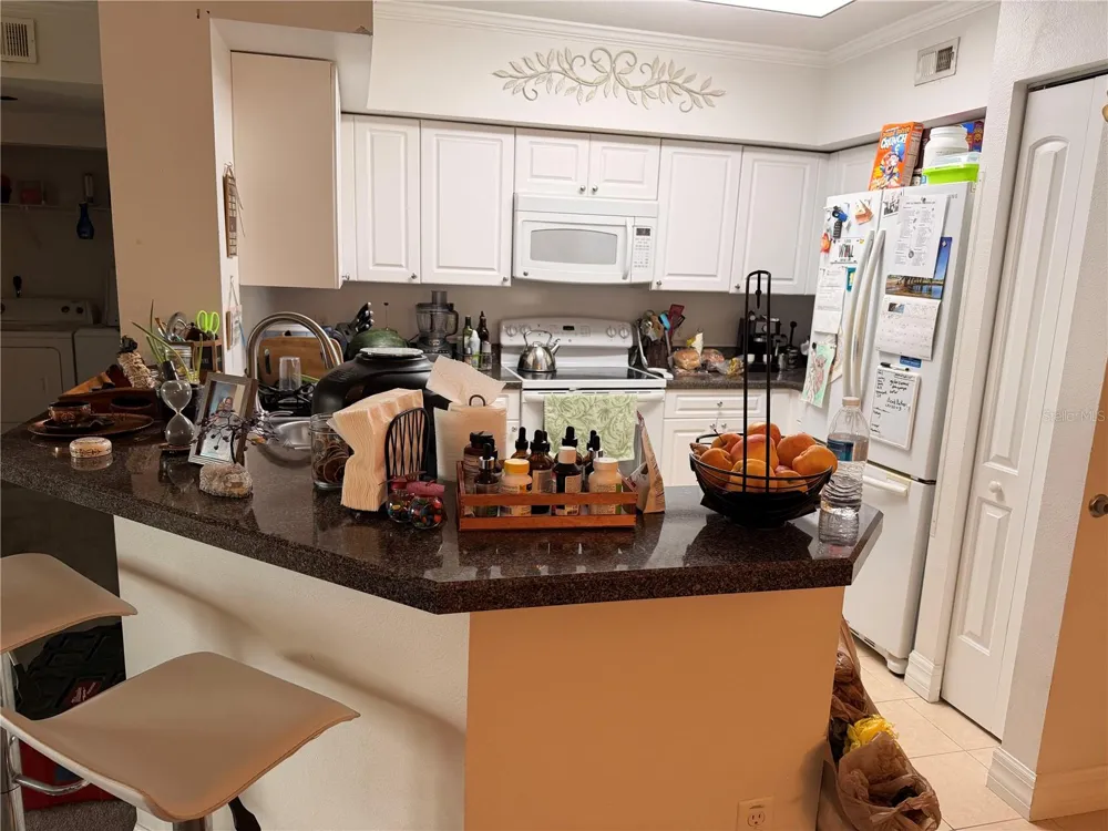 4516 SEAGULL DRIVE #515 New Port Richey, FL 34652