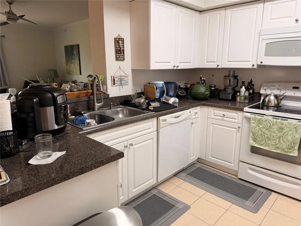 4516 SEAGULL DRIVE #515 New Port Richey, FL 34652