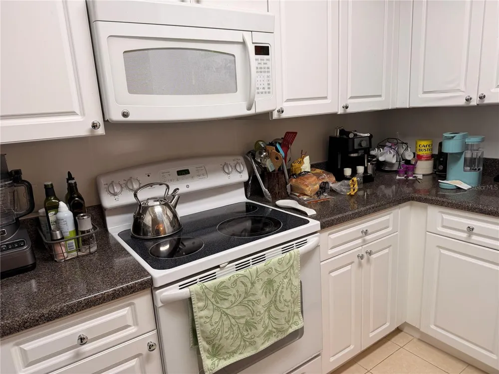 4516 SEAGULL DRIVE #515 New Port Richey, FL 34652