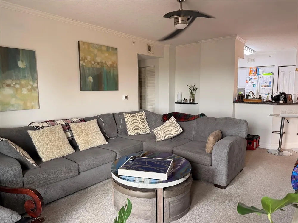 4516 SEAGULL DRIVE #515 New Port Richey, FL 34652
