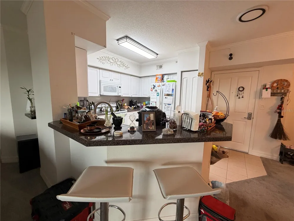 4516 SEAGULL DRIVE #515 New Port Richey, FL 34652