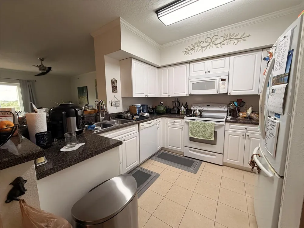 4516 SEAGULL DRIVE #515 New Port Richey, FL 34652