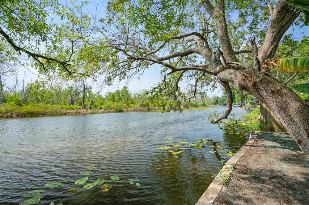 28046 LOIS DRIVE Tavares, FL 32778