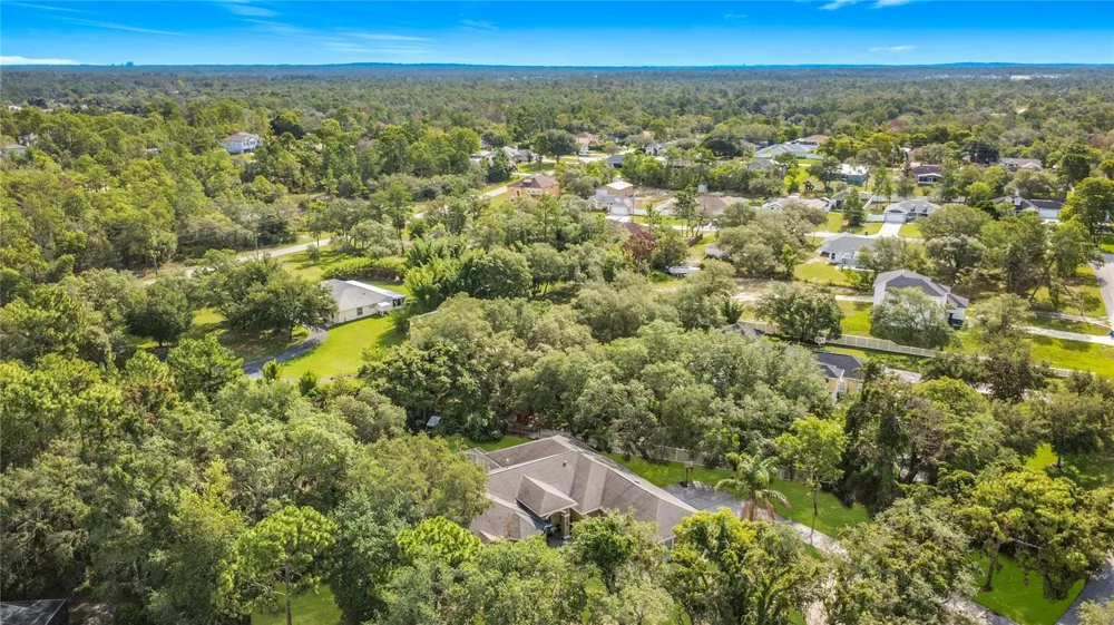 10301 FOX SPARROW AVENUE Weeki Wachee, FL 34613