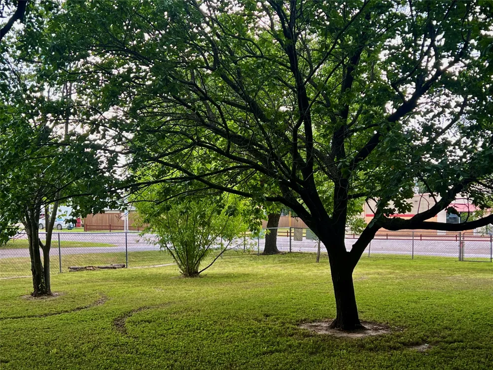 169 Glenn Street Bluff Dale, TX 76433