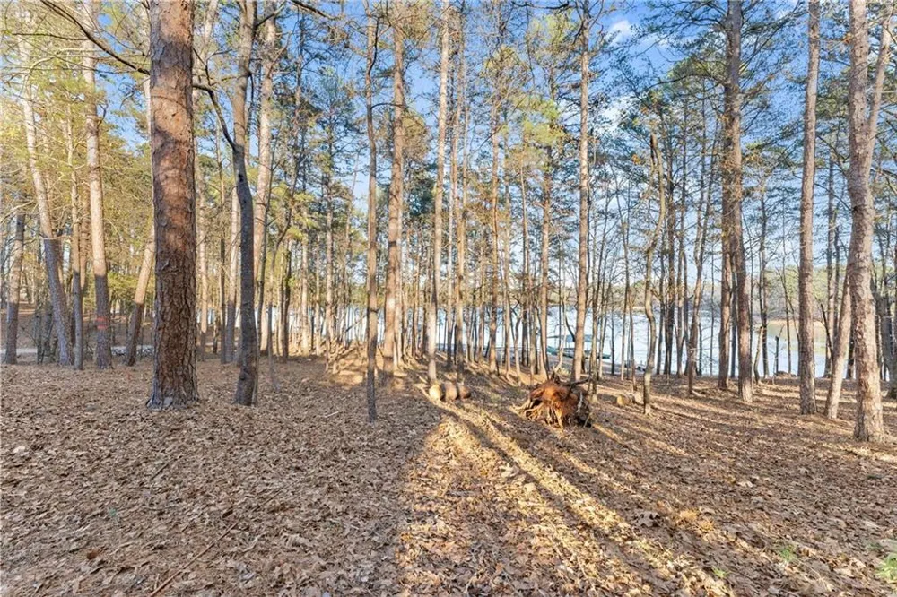 287 Spring Branch Circle Toccoa, GA 30577