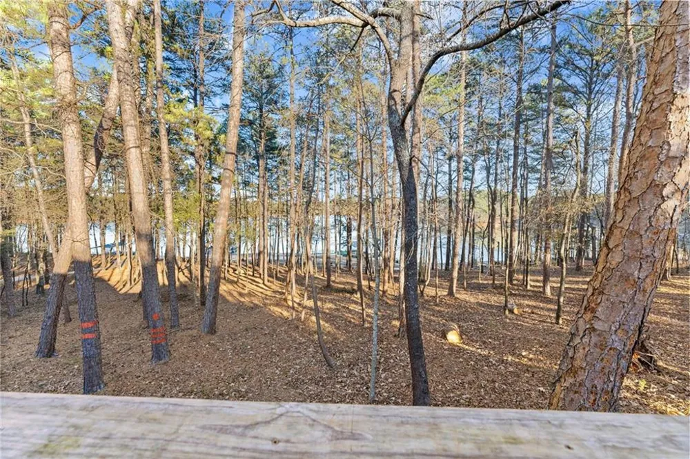 287 Spring Branch Circle Toccoa, GA 30577