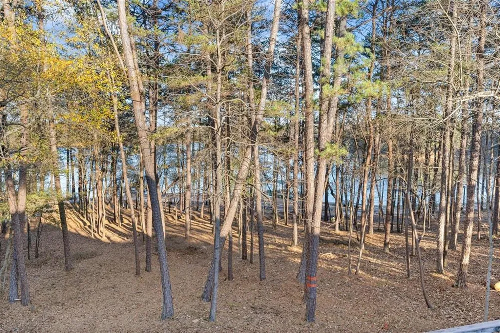 287 Spring Branch Circle Toccoa, GA 30577