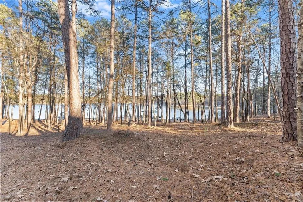287 Spring Branch Circle Toccoa, GA 30577