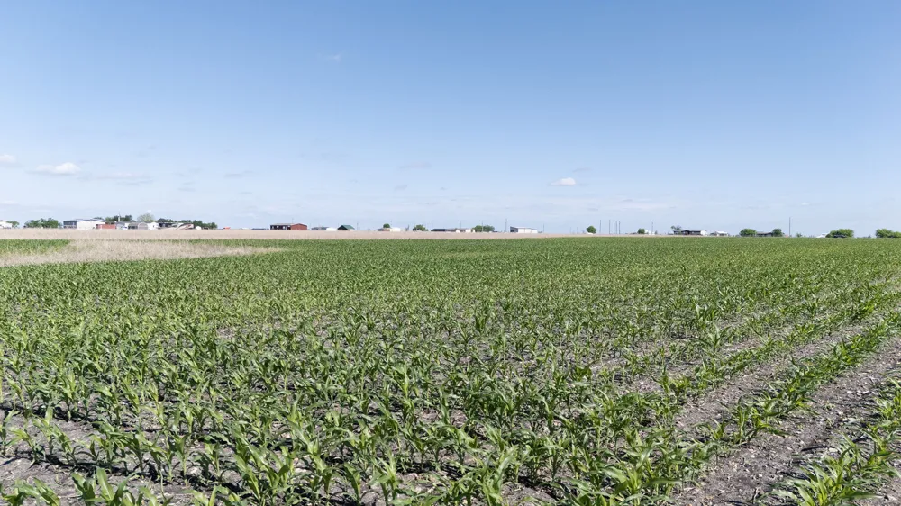 450 County Road 423 Taylor, TX 76574
