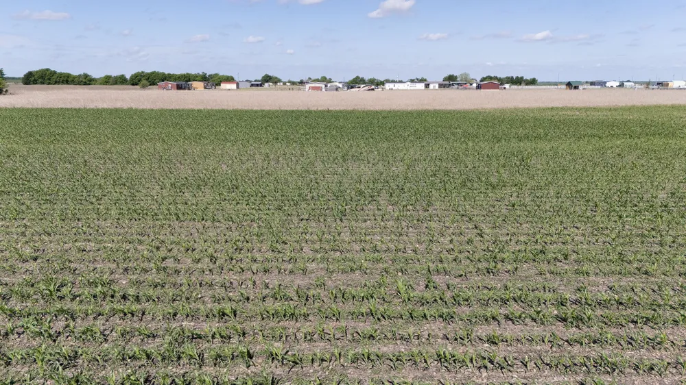 450 County Road 423 Taylor, TX 76574