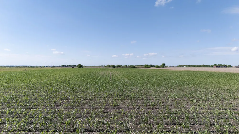 450 County Road 423 Taylor, TX 76574